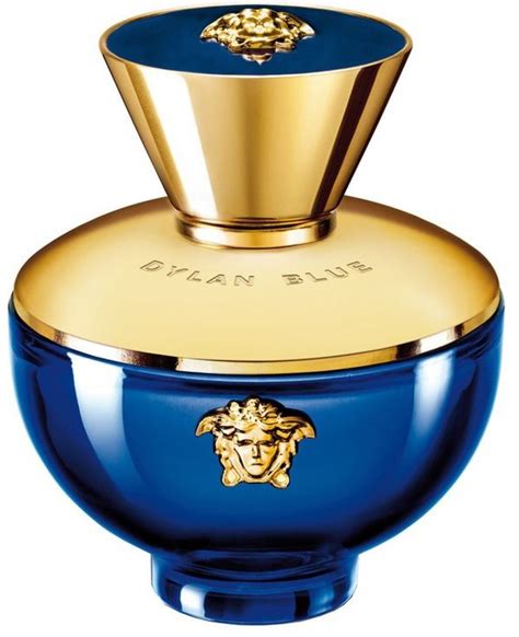 versace dylan blue bayan|versace perfume for women.